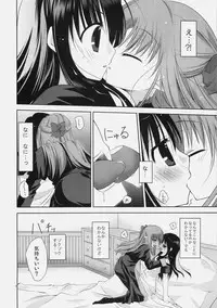 (C78) [Mare Serenitatis (Erika)] Shoujo to Kuroneko no Kochou no Yume (Tsukihime)