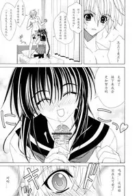 [Lapis Lazuli] Dual Girls [Chinese] [如月響子汉化组]