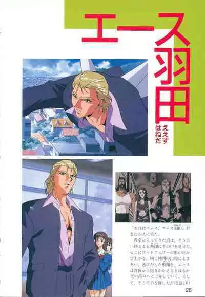 This is Animation Pocket- Chouja Reideen Character Book