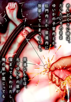 Muhannou-kei Enkou Shoujo to Zettai Wakarase Zetsurin Oji-san