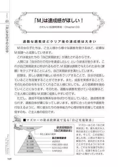 Zero kara Hajimeru SM Manual Kawaii Dorei Shiikujutsu