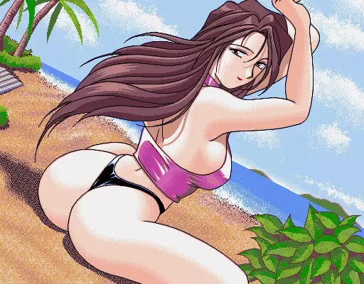 GRA-PRO Retro DoujinCG Set