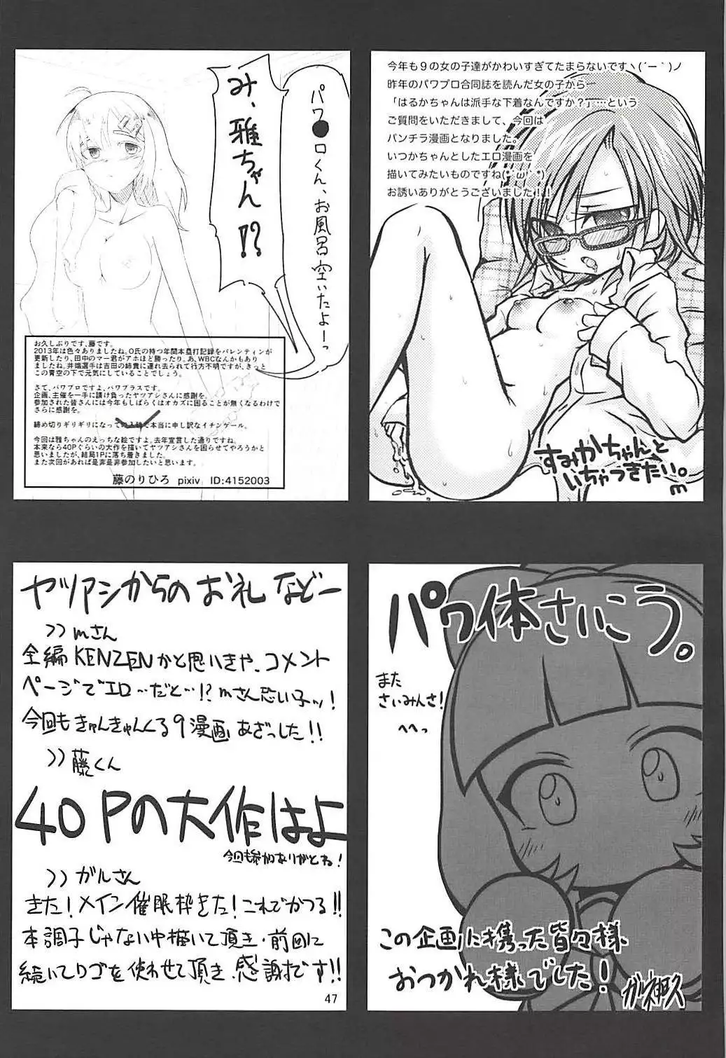 Pawaplus H 2013 Fuyu