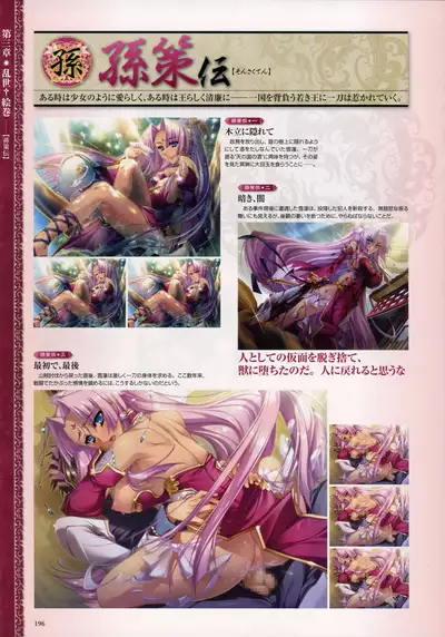 Shin Koihime Musou -Otome Ryouran Sangokushi Engi- Perfect Visual Book