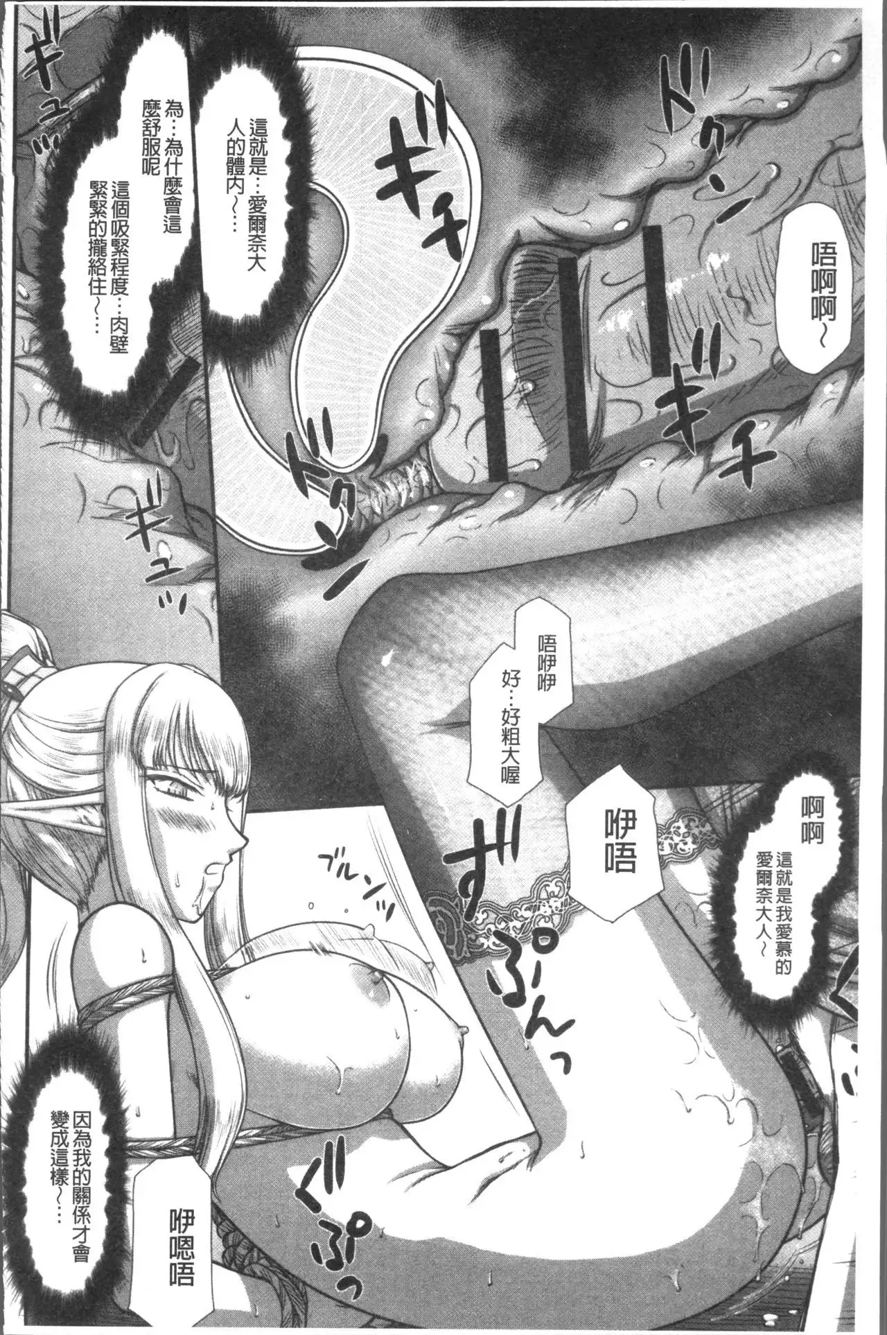 Inraku no Seijo Elvine