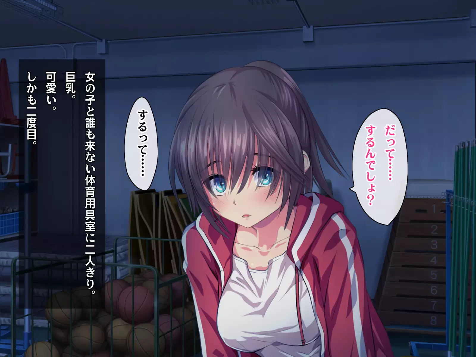 Kotori to Tsubasa to Icha Hame Online