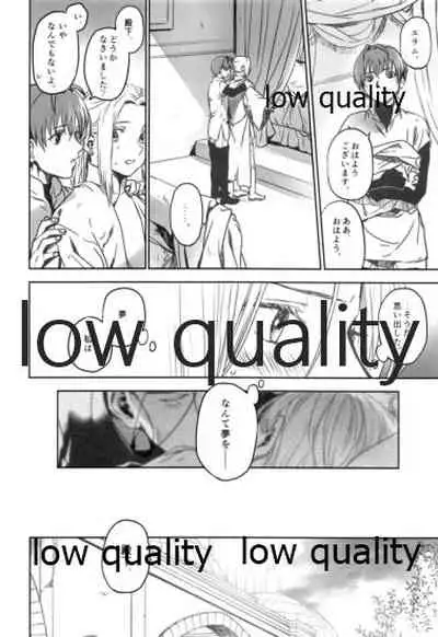 (C97) [Kyusuisei Polymer (Kyusui)] Yume Utsutsu (Arslan Senki)