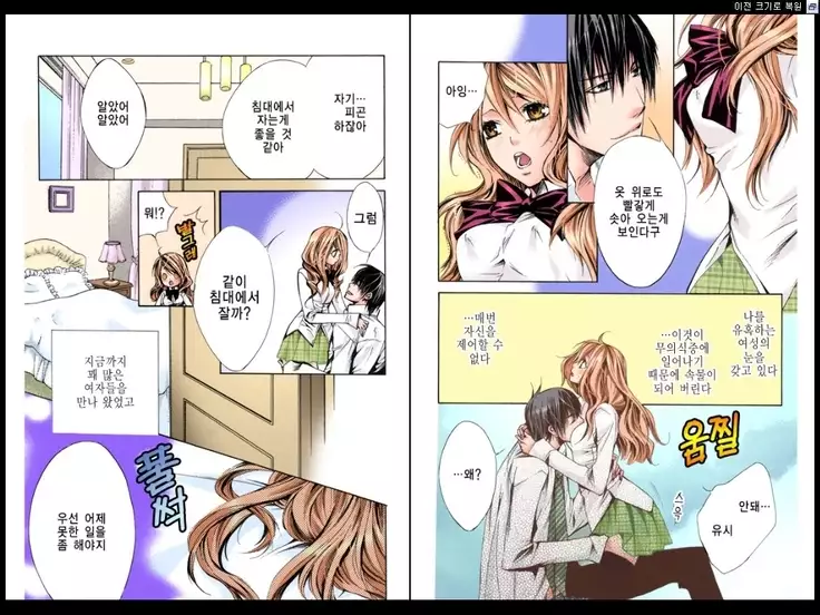 Naisho no Love Mariage | 비밀의 결혼