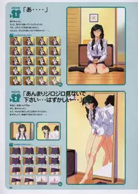 Super Real Mahjong Visual Fan Book Perfect Collection