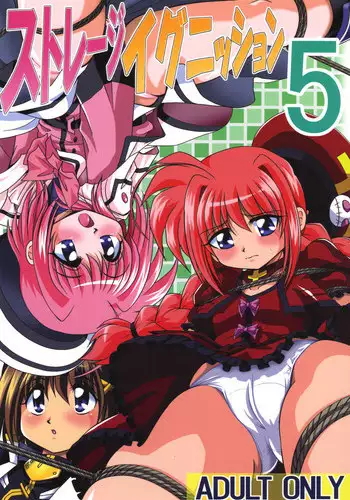 [Thirty Saver Street 2D Shooting] Storage Ignition 5 (Mahou Shoujo Lyrical Nanoha)