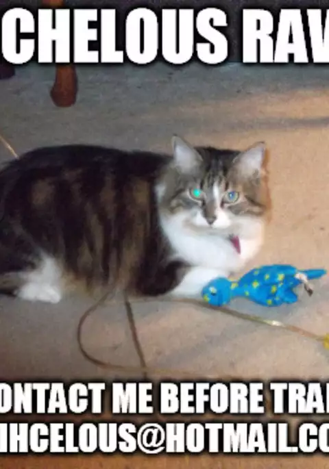 Obi Female Transformation Book 1 of 2