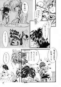 [Bun (Mizumori Ryouko, Shimotsuki Rei)] Reveal (Slayers)