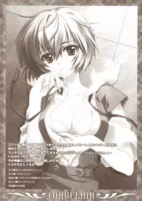 (C78) [CARNELIAN] Ikari-kun to Pokapoka Shitai...... (Neon Genesis Evangelion)