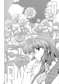 (C77) [04U (Misasagi Task)] Taiyou no Hatakenite Sorekara + Paper (Touhou Project‎)