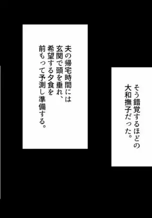 Hero Destruction Plan ~Brainwash Bad End NTR Edition~