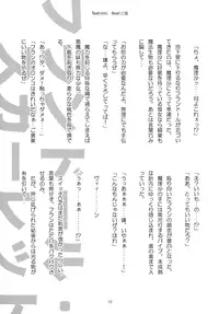 [Gutenberg no Musume (Hoshino Darts, KnightO Satoshi)] Max Spark! (Touhou Project)