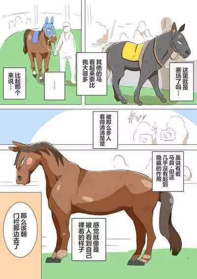 有秘密的竞赛马