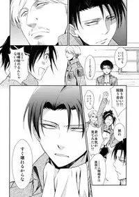 (C90) [RIX (Mamiya)] Ten ni Habataita Sono Ato mo (Shingeki no Kyojin)