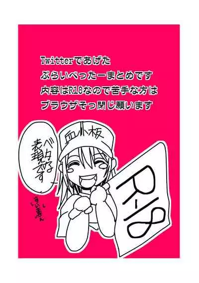 ぷらいべったーまとめ