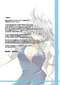 (C77) [Buruman (Tajima Yuki)] S&M Revenge + omake hon (Touhou Project)