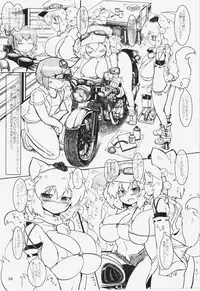 (C84) [Panzers (Okiraku Nic)] Momi H 3 (Touhou Project)