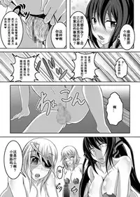 [Bitch Bokujou (Bokujou Nushi K)] GIRLS MEET DQN'S TINPO (IS <Infinite Stratos>) [Chinese] [百合勿忘草个人汉化] [Digital]