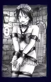 [Nyoninka Kenkyuujo (milda7)] Onna ni Sareta Yuusha Rya [Chinese] [有条色狼汉化]