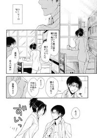 (C90) [RIX (Mamiya)] Ten ni Habataita Sono Ato mo (Shingeki no Kyojin)