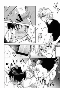 (C80) [Cassino (Magarikoji Lily)] LOCK'N' UP! (Neon Genesis Evangelion)