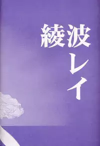 (C50) [Rocket Kyoudai (Various)] BANDAGE-00 Vol. 2 (Neon Genesis Evangelion)