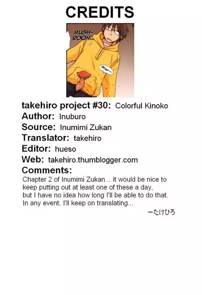 Colorful Kinoko