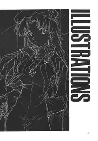 (C56) [PEACE MAKER (E=MC2)] JUNKY'S JUNKS 4 (Various)