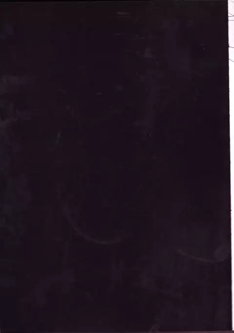 Caesar Salad Ontama Nose