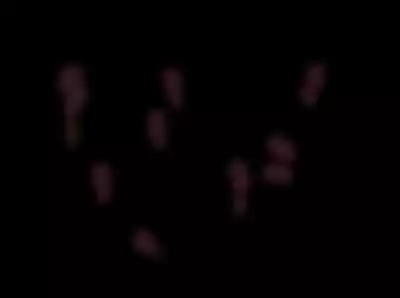 Jukuyoku no Yakata Inran Jukujo Shimai, Shonen wo Nomikomu Nikuyoku Bosei