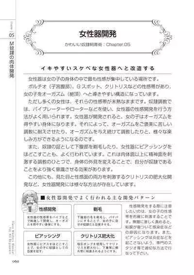 Zero kara Hajimeru SM Manual Kawaii Dorei Shiikujutsu