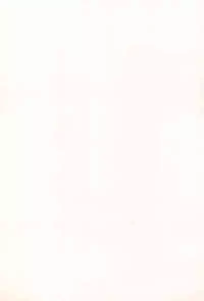 [Log House (Senkan Yamatoni)] Spring is Here (Cardcaptor Sakura)