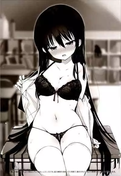 Aniki and I and an illustration summary book + Omake