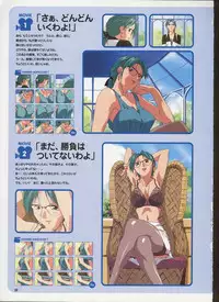 Super Real Mahjong Visual Fan Book Perfect Collection