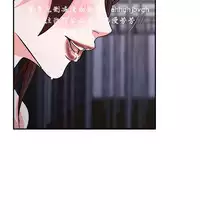 母豬養成計畫【中文】