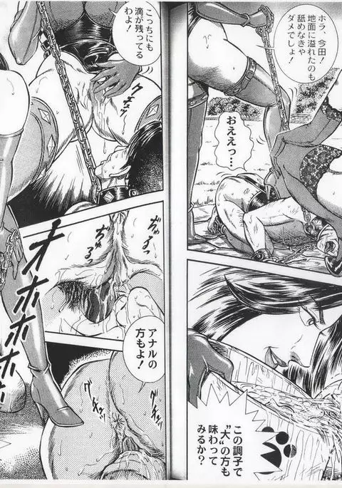 コミックマゾ 6 暗藻ナイト