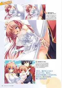 Zettai Series Visual Collection