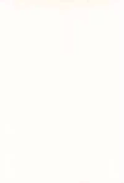 [Log House (Senkan Yamatoni)] Spring is Here (Cardcaptor Sakura)