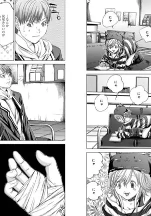 Holy Knight ~Junketsu to Ai no Hazama de~ Vol. 5