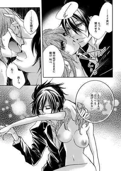 鬼畜兄弟の悶絶調教～私はいいなり奴隷～