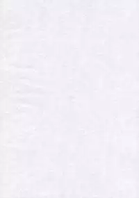 (C75) [Fuguri (Yone)] Sack no March (Touhou Project)