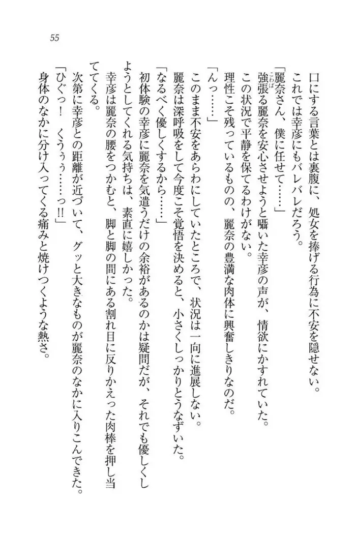 お嬢様☆お世継ぎ生産計画