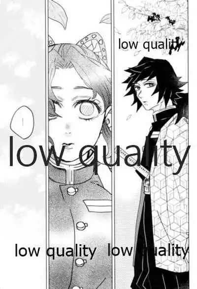 フクシアの花びら