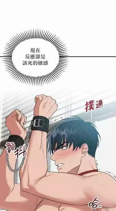 奇妙玩具来袭 01-03 Chinese