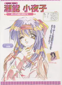 Virtuacall Series - Illustration & Datafile