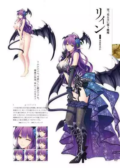 Kami No Rhapsody Perfect Guidebook